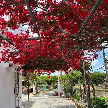 Ktima_Countryliving Villa Samos Town Exterior photo