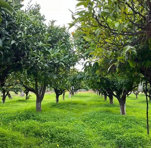 Ktima_Countryliving