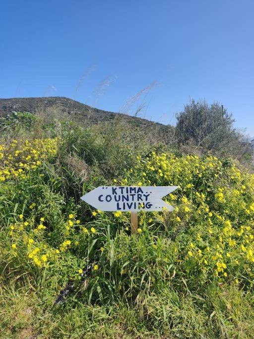 Ferienhaus Ktima_countryliving Samos Town